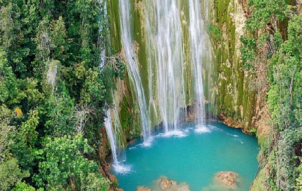 el limon预订冒险