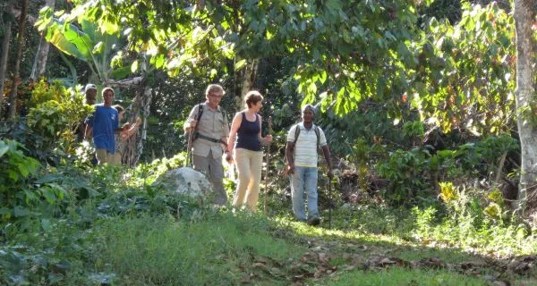 一群人在丛林中茂密的 Salto La Jalda 树叶中穿行。