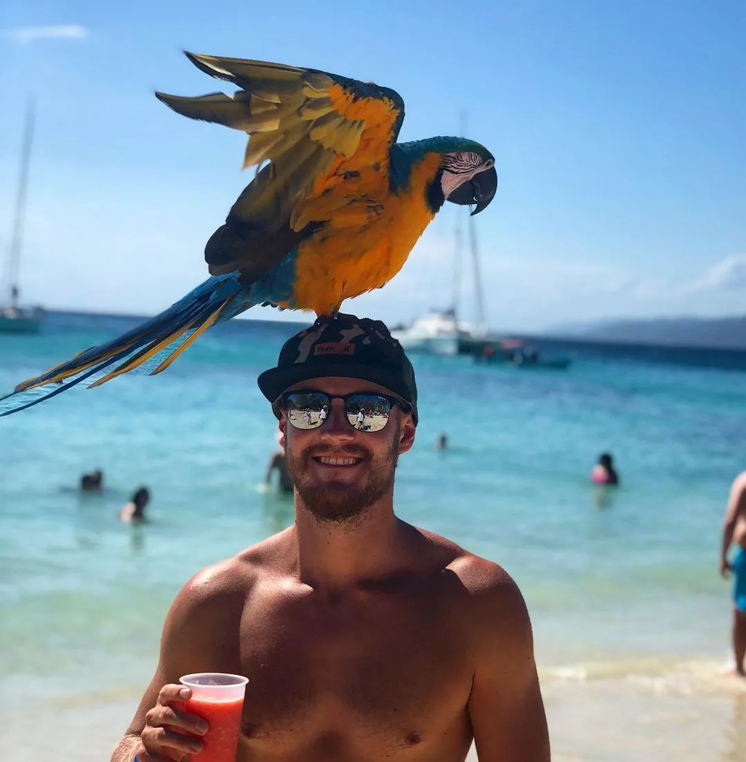 87350322 1491699567664280 4116889082918249578 n