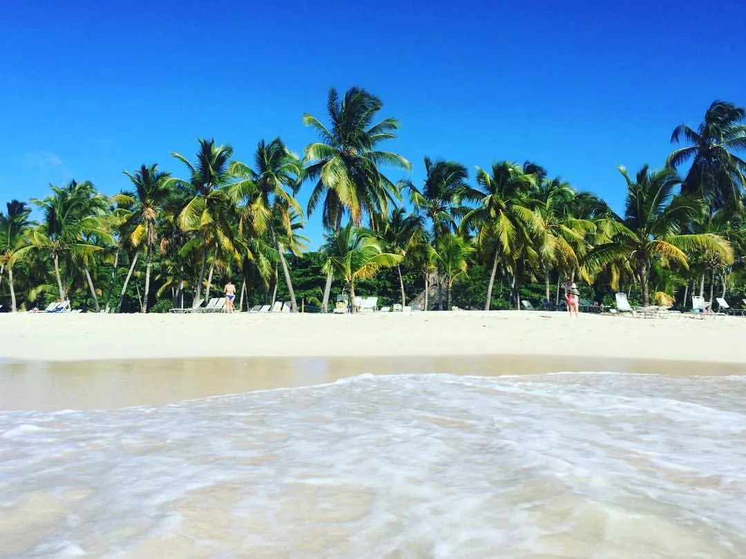 Кайо Левантадо21