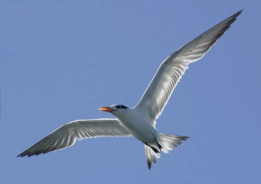 Screenshot 20191112 112707