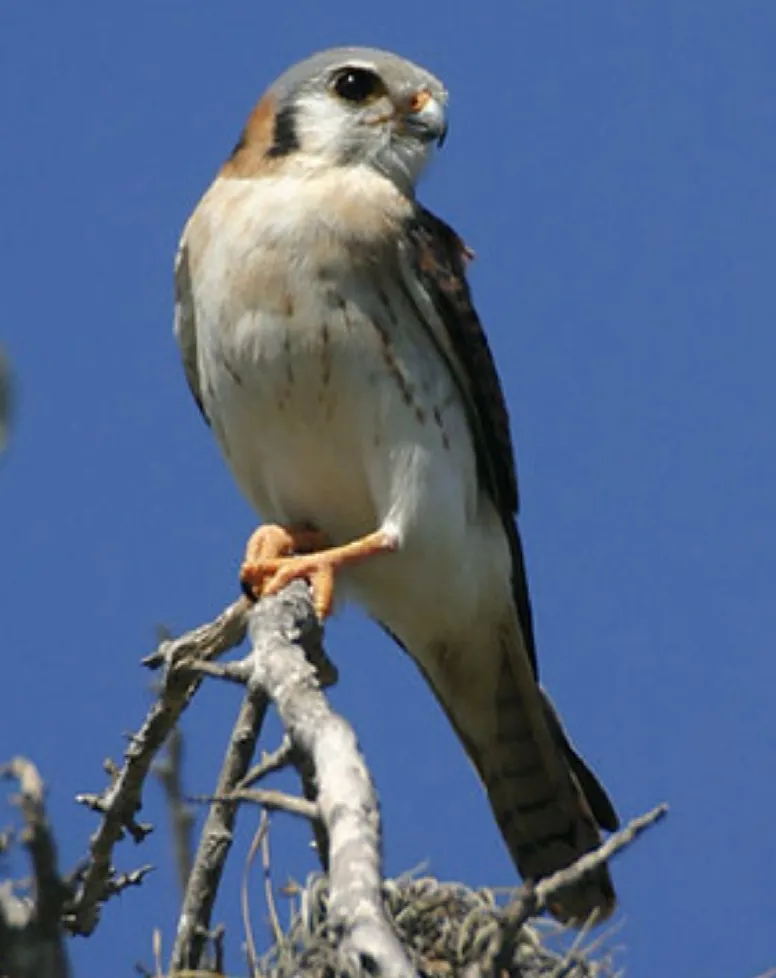 Screenshot 20191112 113430