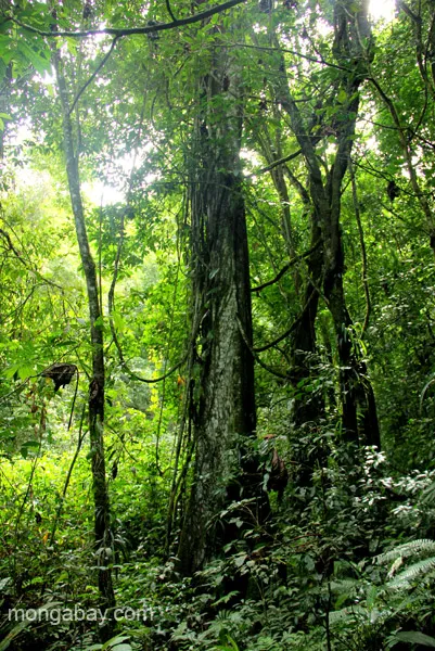 يكره المشي لمسافات طويلة