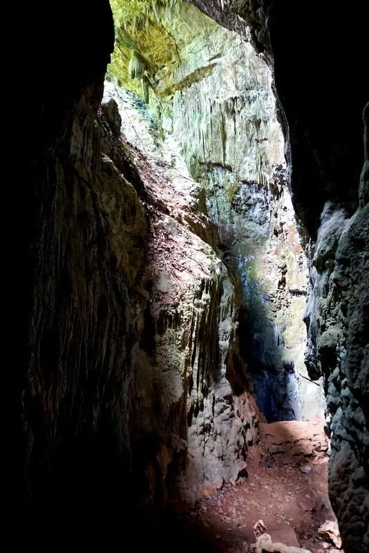 sendero bosque humedo los haitises