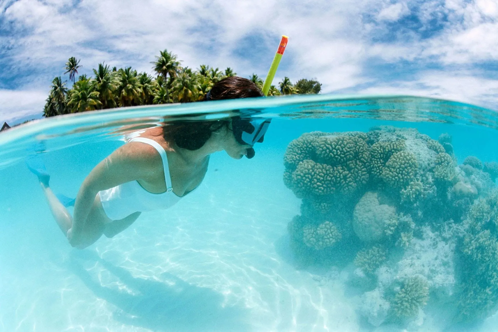 cayo levantado Snorkel