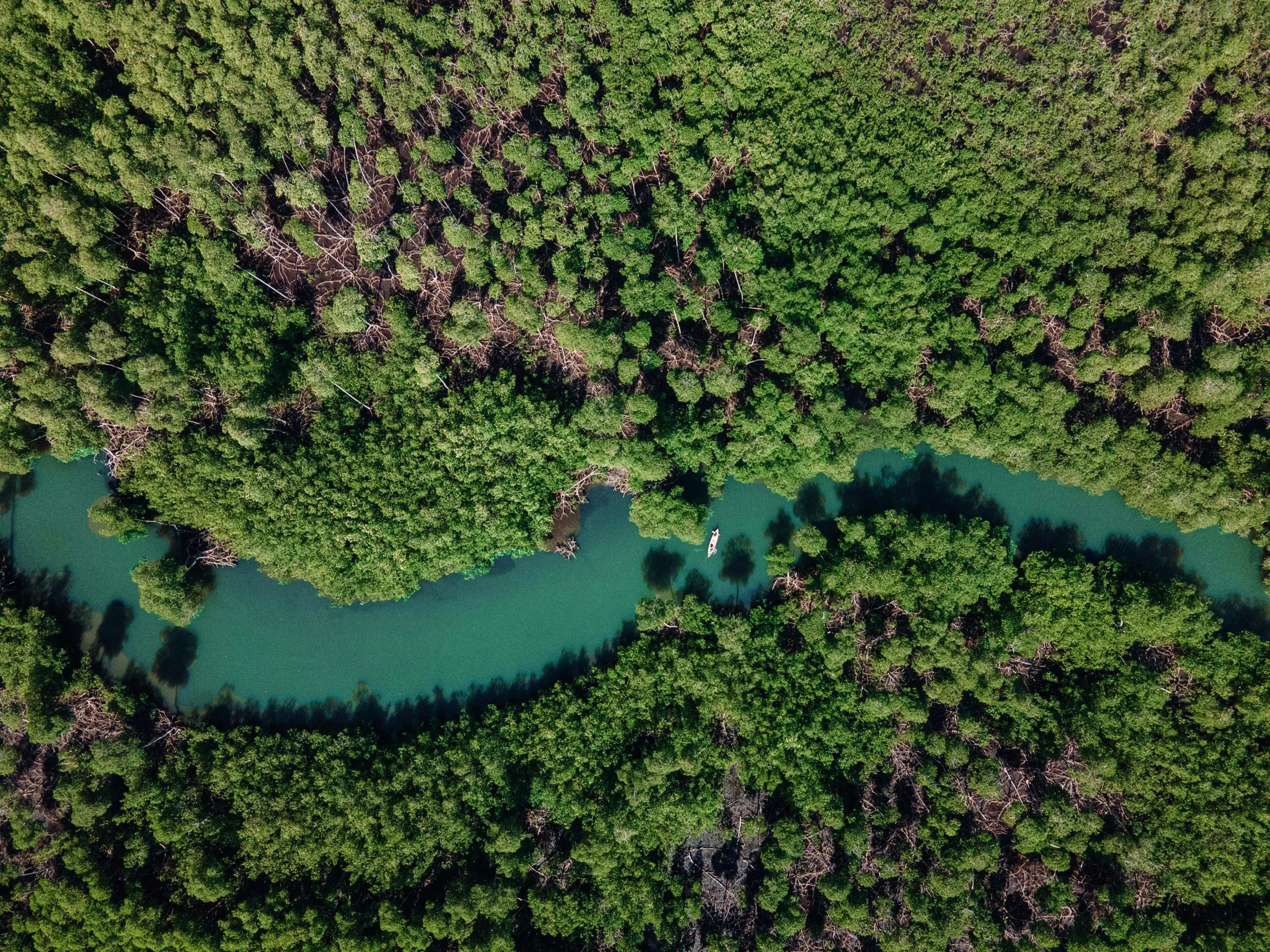 Tainos Canoes 9 scaled