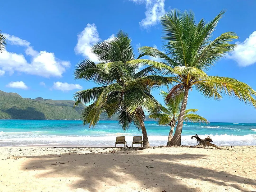 164915325_271629637847389_314752869785196921_n 164915325 271629637847389 314752869785196921 n 1