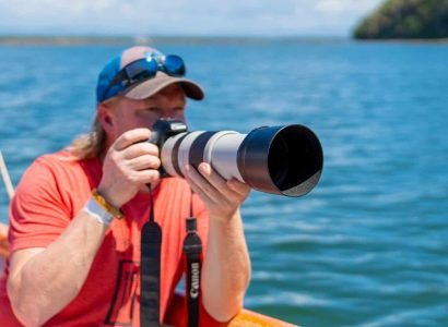 Mangrove birding